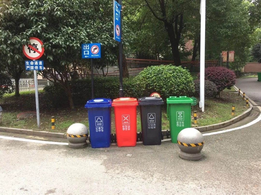 084302317.jpg 4.webp.jpg